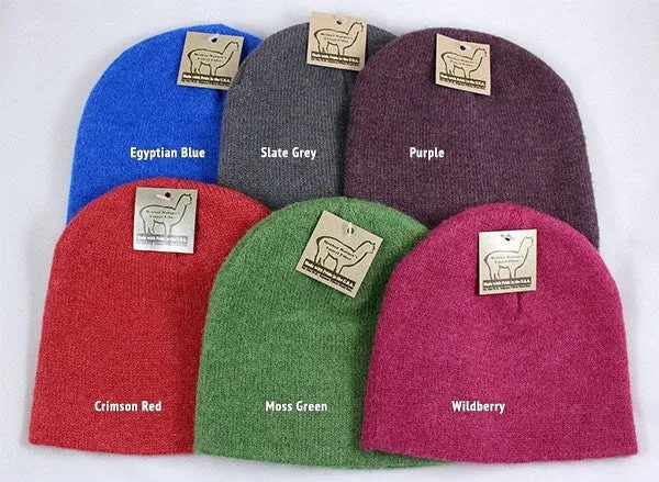 NEAFP  Beanie