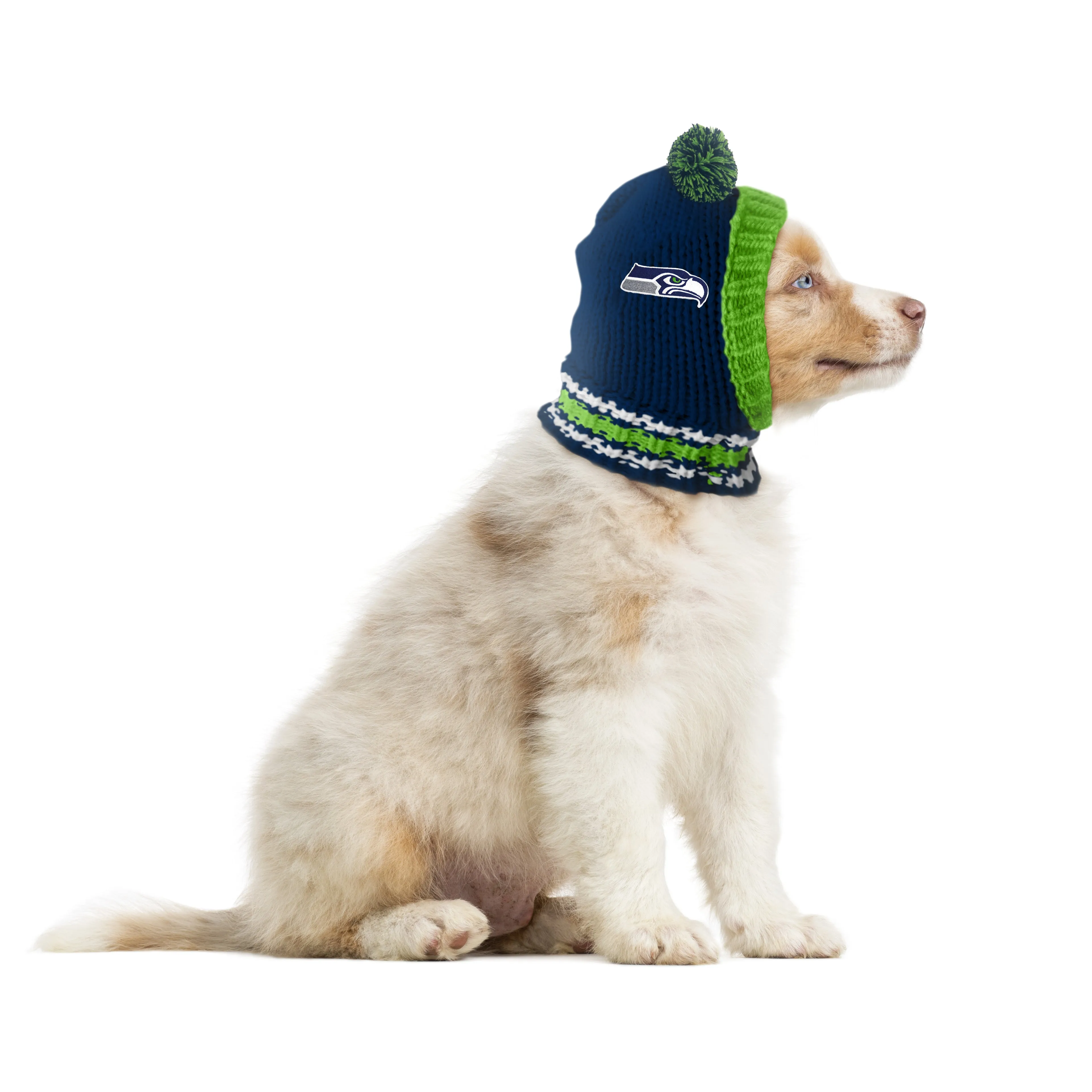 Seattle Seahawks Team Pet Knit Hat